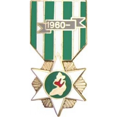RVN Campaign Miniature Medal Pin