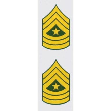 U.S. Army E-9 Sgt. Major 2 pc. Decal