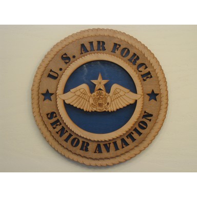 US Air Force Senior Aviation Plaque