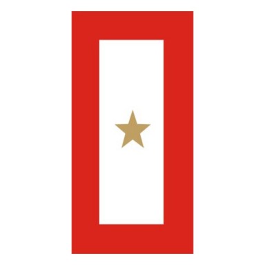 Gold Star Service Banner Decal 