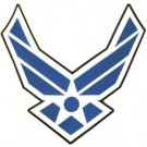US Air Force Back Patch