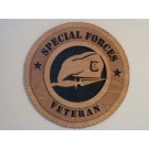 US Army Veteran Special Forces Plaque