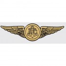 Navy Wings Aircrew Decal